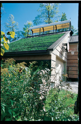 Never one to let the grass grow under his feet, Montgomery puts it overhead instead in his grass-roof-topped, passive solar home that boasts his own hand-crafted lighting fixtures, left, inside and out.